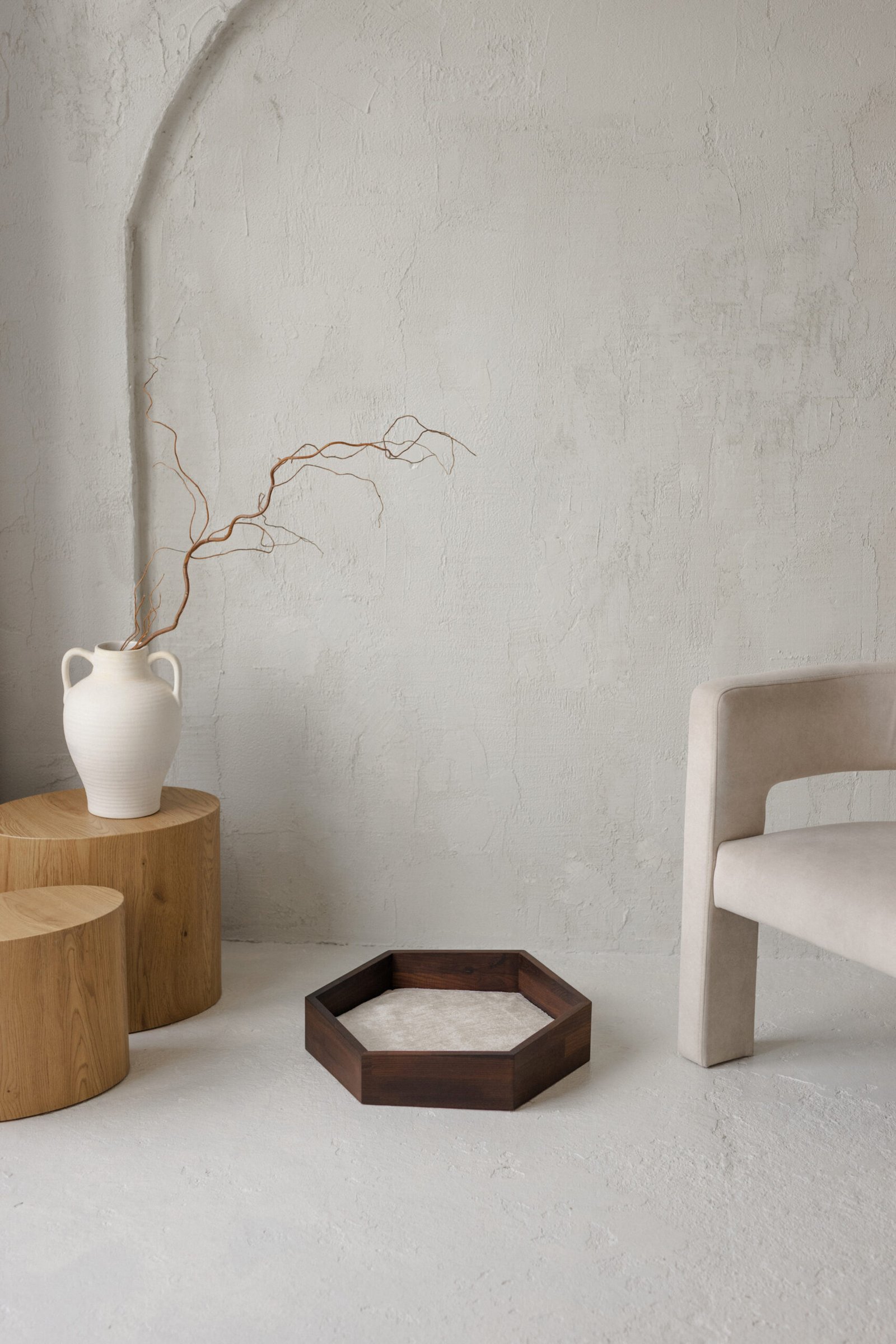 medinis guolis šunims ir katėms