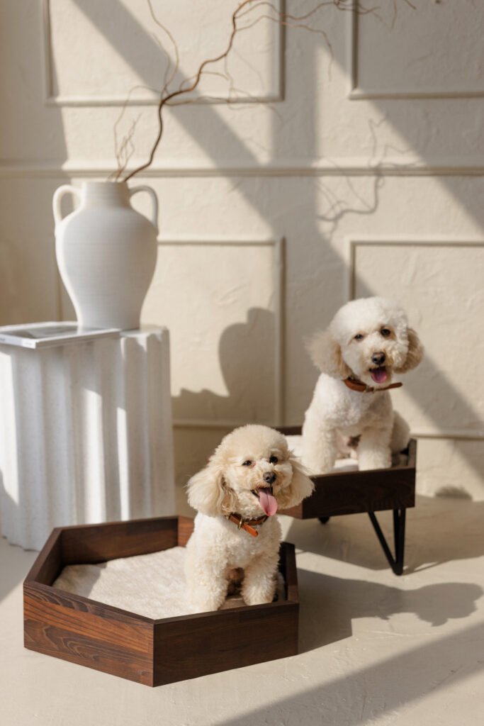 medinis guolis šunims ir katėms