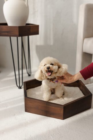 medinis guolis augintiniui, termiškai apdorotas uosis