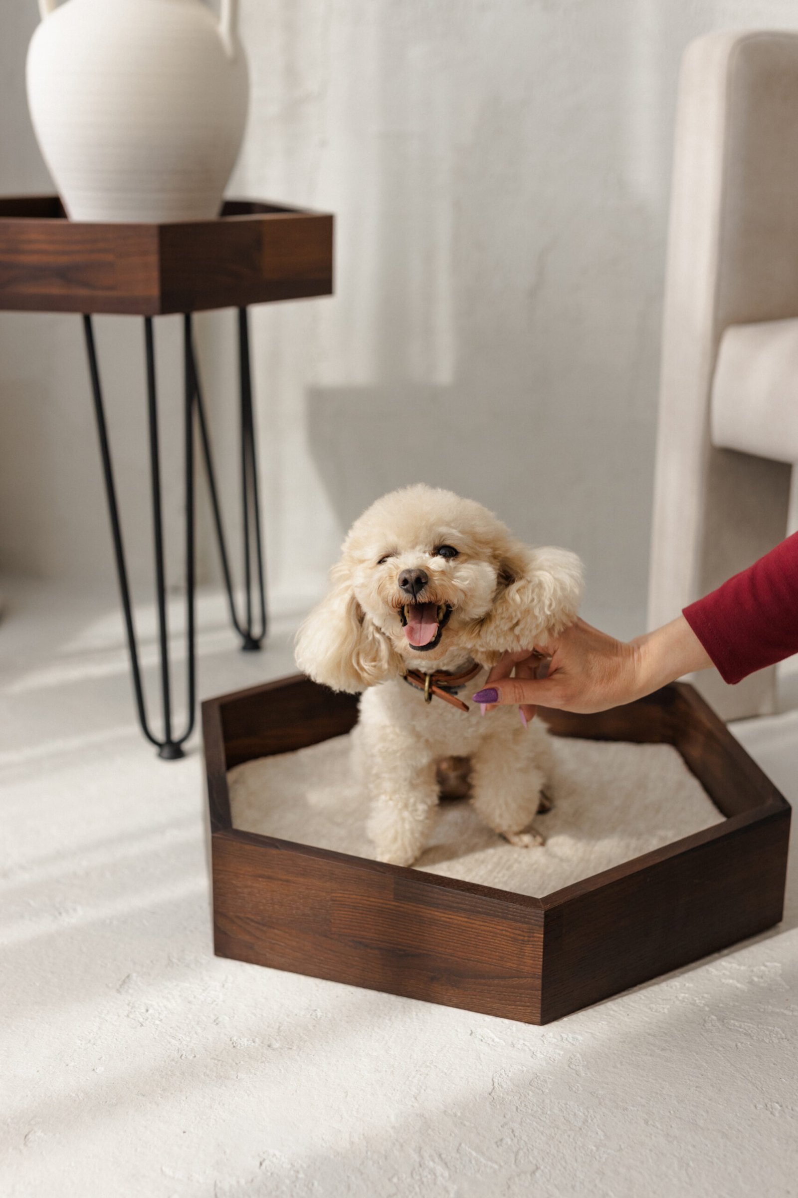 medinis guolis augintiniui, termiškai apdorotas uosis