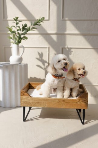 ąžuolinis guolis augintiniui, tamsaus atspalvio