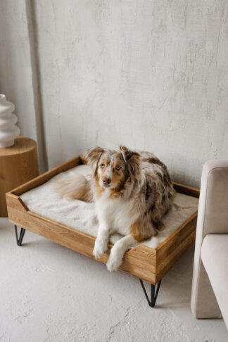 ąžuolinis guolis augintiniui, rudos spalvos